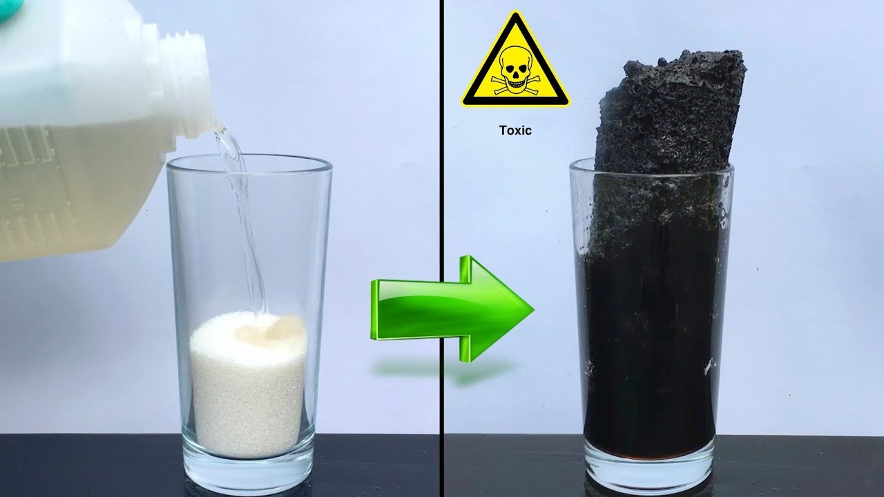 Crazy Experiment Sugar + Sulfuric Acid Dehydration of Sugar YouTube