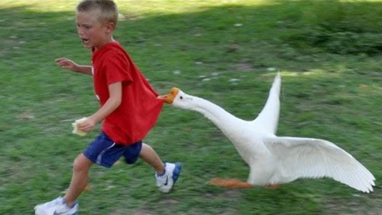 Unusual Memes || Dank Memes Compilation 🤣😱🤔 V66