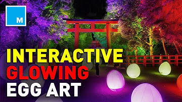 This Interactive GLOWING Egg Art Is Mesmerizing | [FUTURE BLINK]