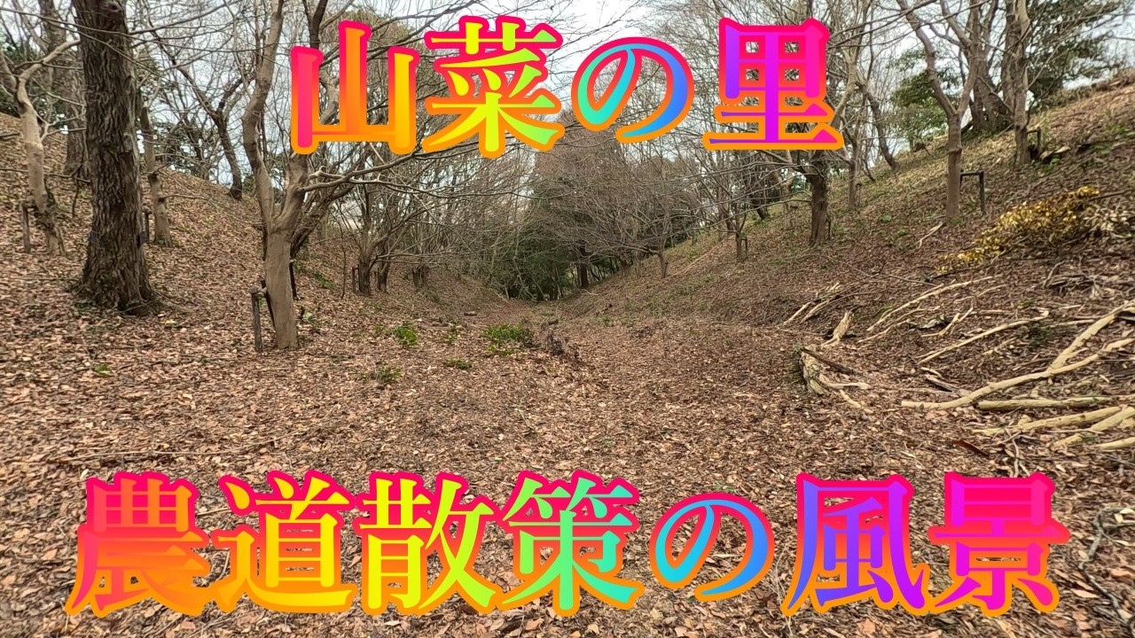 初春の季節 2月23日 月曜 曇りのち晴れ 曇空の朝 #山菜の里 農道散策の風景 日本 鳥取県東伯郡北栄町曲 蜘ケ家山山菜の里 @WalkingYoshi