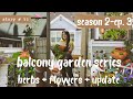  small balcony vegetable garden  saving my seedlings  planting herbs  flowers  s2 part 3