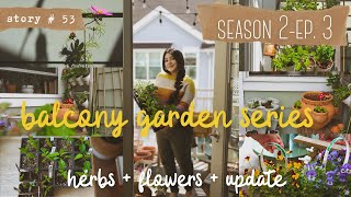 👩🏻‍🌾 Small Balcony Vegetable Garden | Saving My Seedlings + Planting Herbs & Flowers | S2 Part 3