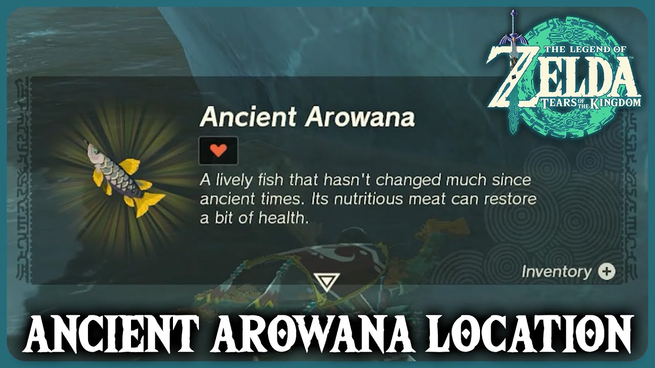 where-to-find-ancient-arowana-zelda-tears-of-the-kingdom-youtube