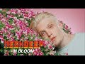 Neck deep  in bloom official music