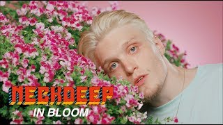 Смотреть клип Neck Deep - In Bloom