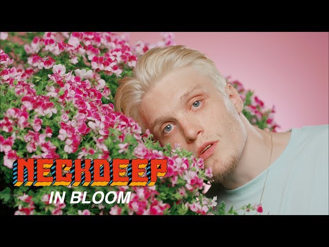 Neck Deep - In Bloom (Official Music Video) class=
