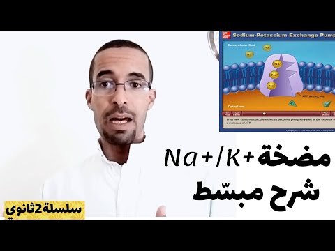 فيديو: لماذا يتم النقل النشط لمضخة الصوديوم البوتاسيوم؟