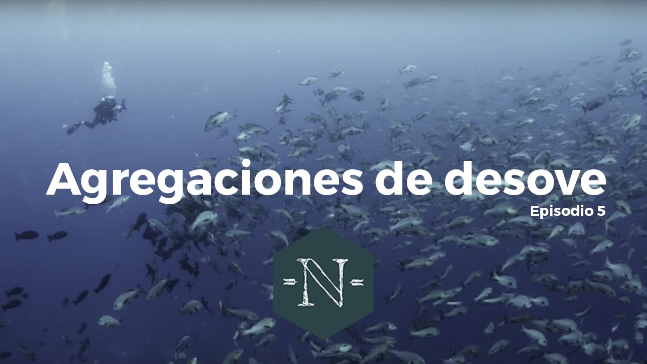 Agregaciones de desove - Números Naturales EP 05