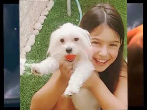 \"პაატას პრინცესები\"----ჩანახატი , პატივისცემით ეძღვნება კულტურის დესპანს ისრაელში--პაატა იოსებაშვილს