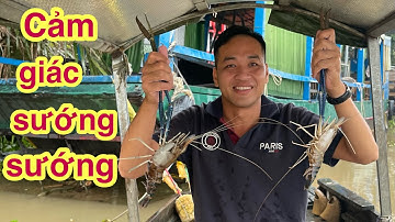 Trúng Mánh Trụ Cầu Tôm To Tôm Càng Xanh @Xuanthuong91 