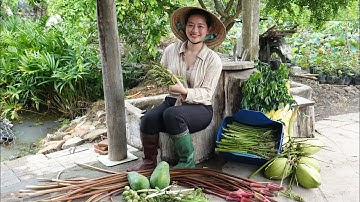 Lội Ao Hái Rau Móp Về Muối Chua Làm Nhiều Món Ngon Miền Quê | ÁNH KUA