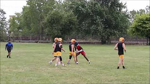 Southfield A&T 2020 WR Christian Fitzpatrick highl...
