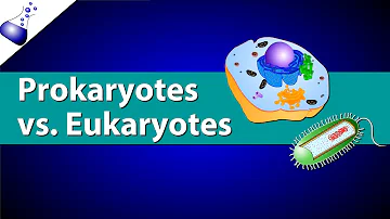 In what ways are eukaryotic cell membranes different from bacterial cell membranes?