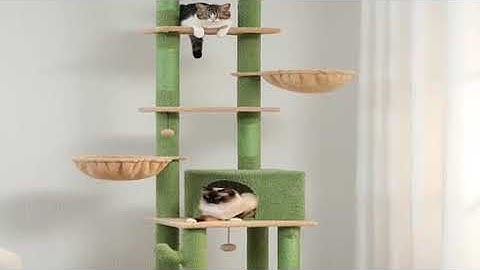 Cactus Cat Tree Floor to Ceiling Cat Tower 7 Tiers Cat Climbing Tree with Cozy Hammocks and Condos 5