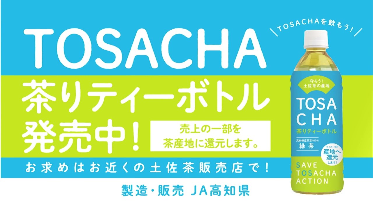 土佐茶応援宣言】TOSACHA 茶りティーバッグ（緑茶）【4g×16p】 | 高知