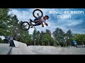 Dijon visuel  bowl de dijon bmx