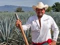 El Agave - Tequila, Jalisco - Parte 1