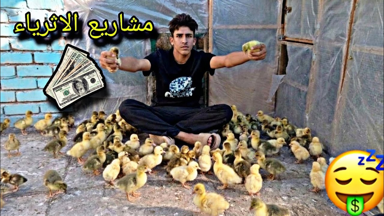 رحت سوك الغزل 🥰 مشاريع الاثرياء 💸
