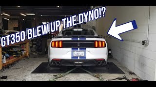 GT350 Blew Up The Dyno!?