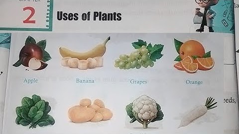 Class 2 Science || Chapter-2 Uses Of Plants || Full Lesson Question Answer & Exercise Solution