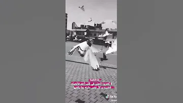 الاشياء الجميلة لا تدوم ولكنها تترك في القلب جمالا يدوم 