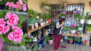 Trasformando el rincón de un jardín en la terraza