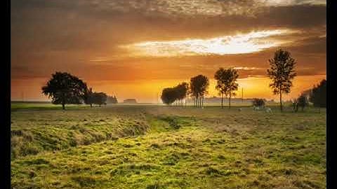 تلاوة خاشعة من سورة يـوسف للقارئ براك الشمري || ترتيل رائع || TRTEEL