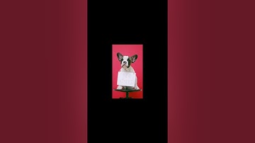 Best Free Midjourney Alternative (Leonardo AI)