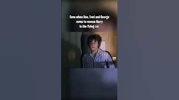 Is Hedwig A Maledictus 