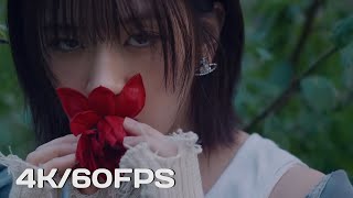 Celebrity [4K/60FPS] IVE 아이브 'Either Way’ MV Profile
