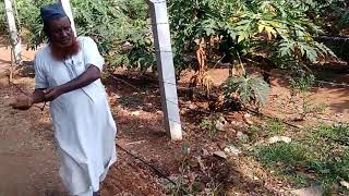 Identification of borewell hole point with neem stick method.9880988831