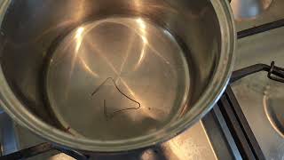 Nitinol paperclip (shape memory alloy)