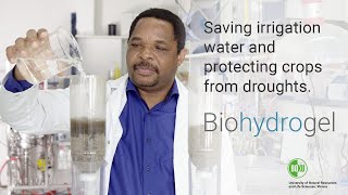 Biohydrogel - Saving irrigation water and protecting crops from droughts.