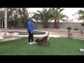 How durable is the JAWZ dog frisbee disc? - Watch this!!