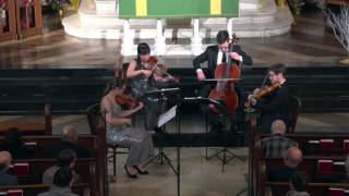 Haydn Op. 64-4 1st Mv Net Worth