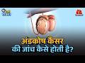 अंडकोष-कैंसर के लक्षण और Self Examination के तरीके जान लीजिए | Hello Doctor | Testicular Cancer
