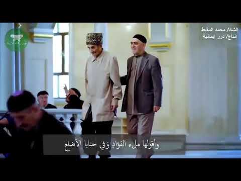 أنشودة أنا مسلم وأقولها ملء الفؤاد وفي حنايا الأضلع