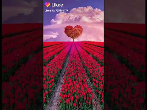 ز جف طماطم جل حج بر