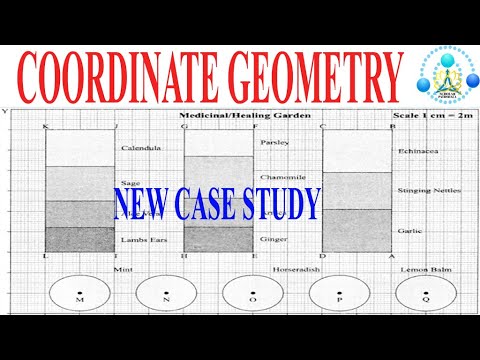 case study on coordinate geometry class 8