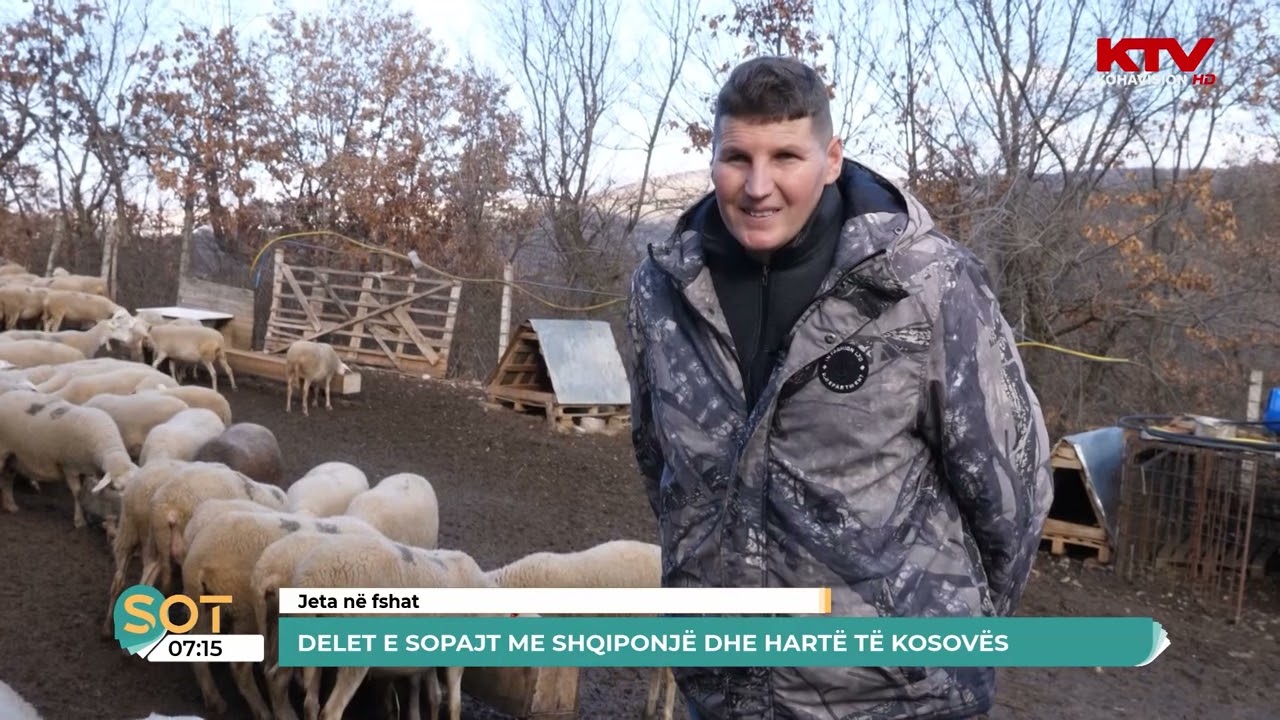 Delet e Sopajt me shqiponjë dhe hartë të Kosovës 10 01 2025