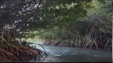 Enya   Listen to the rain