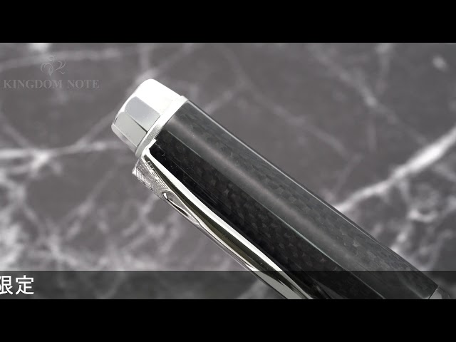 PLATINUM プラチナ 万年筆 90周年記念 25G カーボンファイバー 中字