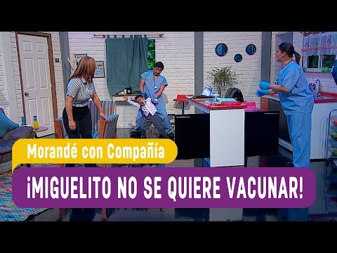 ¡Miguelito no se quiere vacunar! - Morandé con Compañía 2019