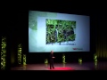 Life's Resilience Response to Hydrogen Sulfide: Peter Ward at TEDxRainier