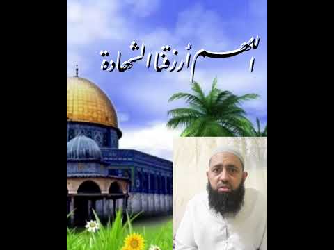 هل يشعر الشهيد بألم القتل