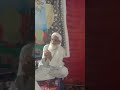 Mufti Faiz Muhammad Sikandari Melad Mustafa
