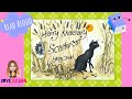 Hairy Maclary Story Quiz