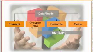 Модуль ЕГАИС для DataMobile: внедрение компанией «ЭКСПЕРТ» в Тюмени (и Севастополе) screenshot 5
