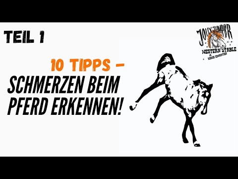 10 Tipps -