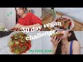 FOOD DIARIES | my 30 day vegan challenge pt.1 🌱